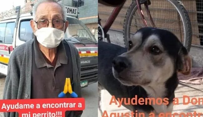 Video. Ancianito camina todos los días cientos de kilómetros buscando a su perrito