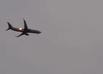 Video. ¡Pánico en el aire!, pájaro choca contra turbina de avión y causa incendio