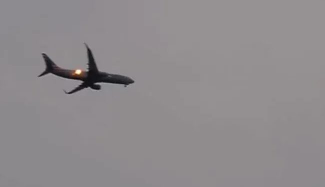 Video. ¡Pánico en el aire!, pájaro choca contra turbina de avión y causa incendio