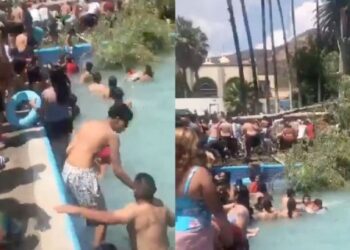 Video. BEBÉ muere aplastado por ÁRBOL que cayó a una alberca en Guanajuato