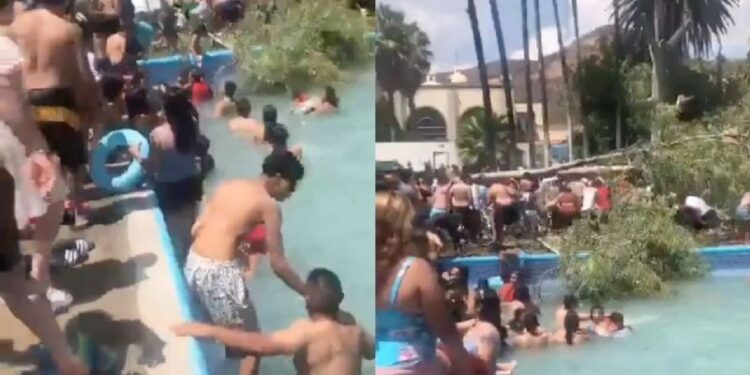 Video. BEBÉ muere aplastado por ÁRBOL que cayó a una alberca en Guanajuato