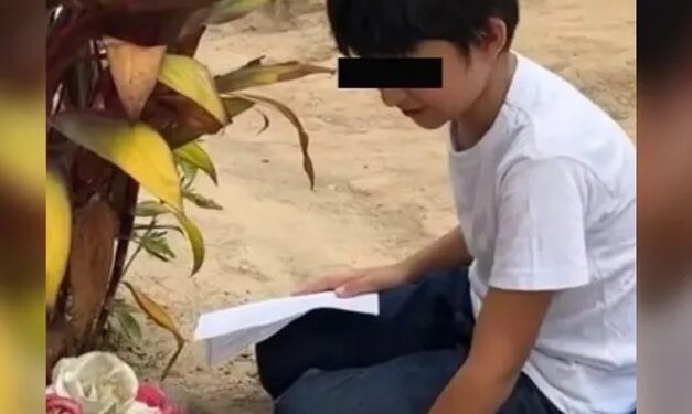Video. Amor eterno: niño va a diario a la tumba de su mamá a hacer tarea