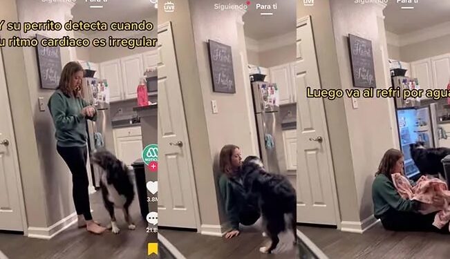 Video. «Él es mi héroe»: perrito auxilia a su dueña que sufre de taquicardia