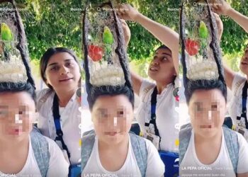 Video. ¡Le colgó hasta el perico!, mamá crea impresionante «peinado loco» y se hace viral