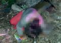 Viridiana fue secuestrada por su novio y arrojada a aguas negras