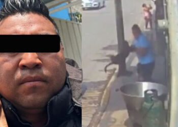Video. ¡JUSTICIA!, detienen a ‘monstruo’ que lanzó a perrito al aceite hirviendo