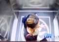 Video. Mujer MUERE al caer de elevador; cámara captó su horrible final