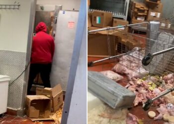 Video. Furioso sujeto DESTROZA restaurante por no PAGARLE en un mes