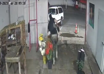 Video. “¡Hay niños!”: suplican a hombres armados que disparaban en florería