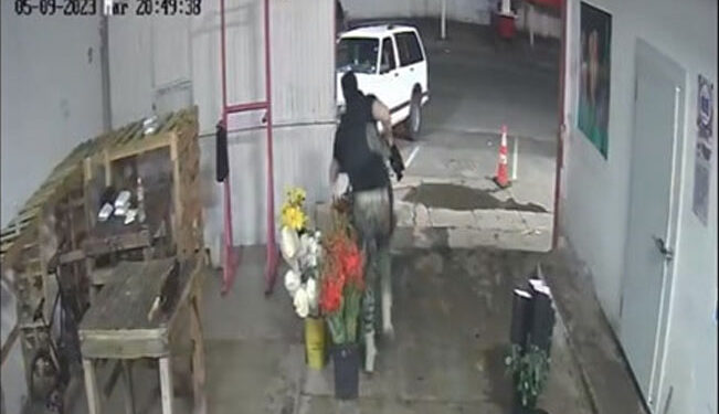 Video. “¡Hay niños!”: suplican a hombres armados que disparaban en florería
