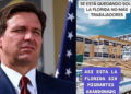 Florida sin migrantes: Gobernador firma ley para expulsarlos del estado