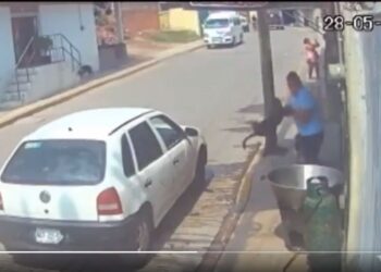 Video. ¡Inaudito!: bestia lanza a un perrito a cazo con aceite hirviendo