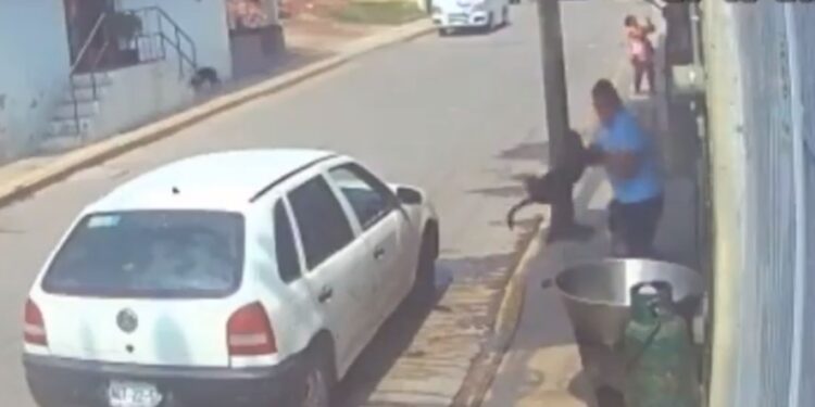 Video. ¡Inaudito!: bestia lanza a un perrito a cazo con aceite hirviendo