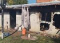 Hermanitos de 1 y 2 años MUEREN «abrazaditos» en infernal INCENDIO de su casa