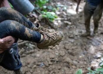 ¡Bravo!, rescatan a 4 NIÑOS que sobrevivieron 17 días perdidos en la SELVA