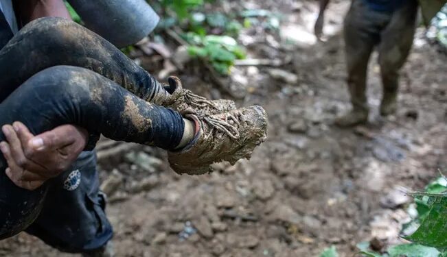 ¡Bravo!, rescatan a 4 NIÑOS que sobrevivieron 17 días perdidos en la SELVA