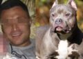 Perro atacó y DESPEDAZÓ a un hombre; policías tuvieron que MATARLO