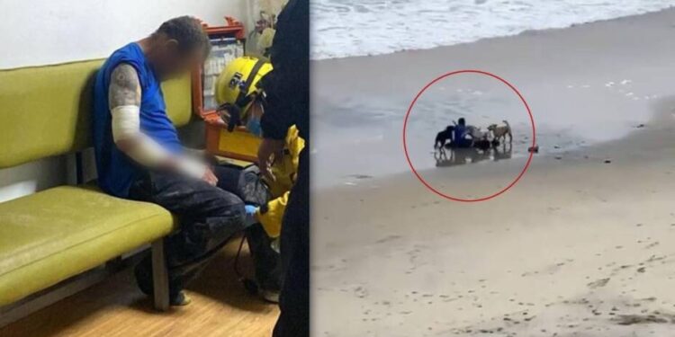Video. ¡Horrible!, sujeto es atacado por jauría de perros en playas de Tijuana