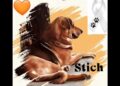 Video. Exigen justicia para “Stitch”: golpean y matan a perrito por robar pan