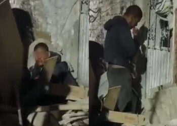 Video. ¡Sorprenden a sujeto DEVORANDO a un perro que apenas había MATADO!