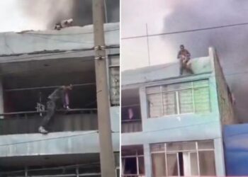 Video. ¡Arriesga su vida para rescatar a 25 PERROS de morir en INCENDIO!