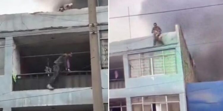 Video. ¡Arriesga su vida para rescatar a 25 PERROS de morir en INCENDIO!