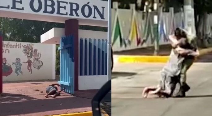 Video. ¡Impactante!, momento en el que militar salva a indigente de ataque de abejas