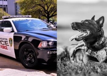 Perrito policía MUERE tras ser dejado dentro de PATRULLA en el calor extremo