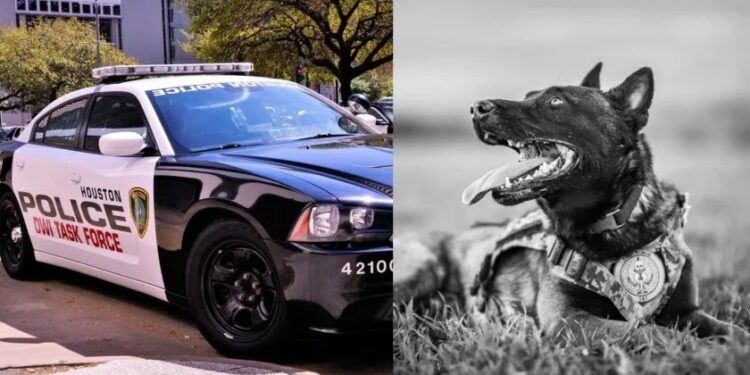 Perrito policía MUERE tras ser dejado dentro de PATRULLA en el calor extremo