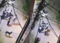 Video. ¡De locos!, asaltantes se ‘apiadan’ de víctimas y les dan dinero; ellos los denuncian