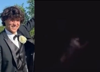 Video. Chico se lanza al mar “infestado de tiburones”, intenta huir de uno y desaparece