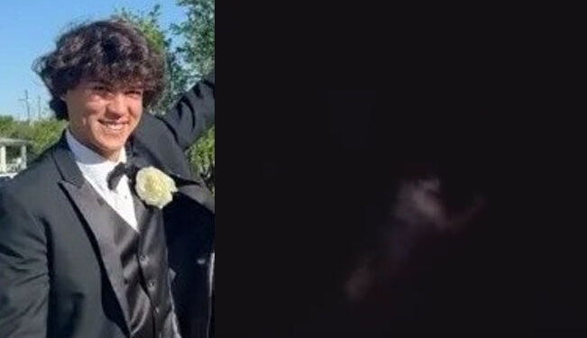 Video. Chico se lanza al mar “infestado de tiburones”, intenta huir de uno y desaparece