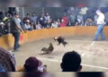 Video: BALACERA en pelea de gallos deja ¡2 MUERTOS y 3 heridos en Guanajuato!