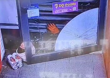 Video. ¡Ladrón queda atrapado en persiana y bebe cerveza mientras espera a la policía!
