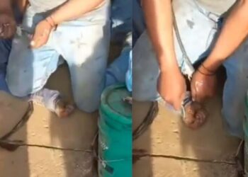 Video. “¡Me duele!”: niño grita a aprovechados que lo torturan con descargas eléctricas