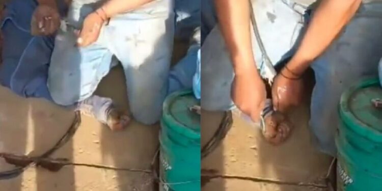 Video. “¡Me duele!”: niño grita a aprovechados que lo torturan con descargas eléctricas