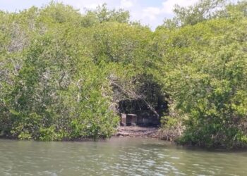 Tétrico hallazgo: localizan 17 cadáveres en fosa clandestina de Veracruz