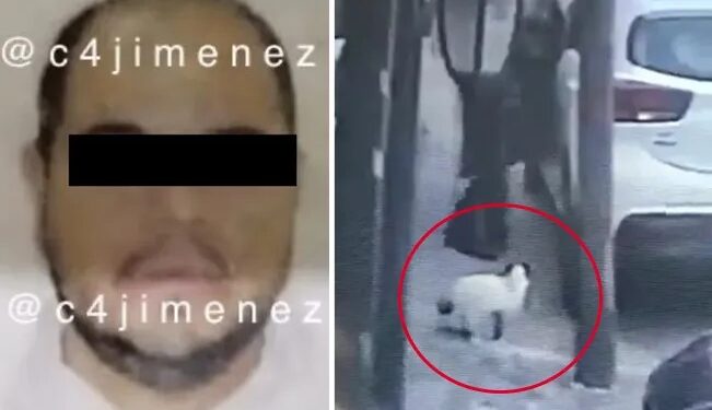 Video. ¡Agarran a desquiciado que MATÓ a un GATITO en Tlalnepantla!