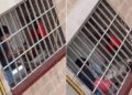 Video. Captan a “chamaco” GOLPEANDO a un GATITO mientras lo bañaba