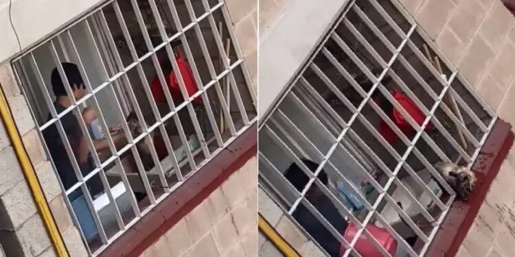 Video. Captan a “chamaco” GOLPEANDO a un GATITO mientras lo bañaba