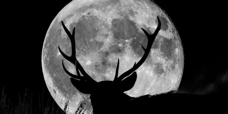 ¿Ya listos para ver la Superluna de Ciervo?, disfruta ahora este fenómeno astronómico