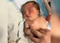 ¡Ángel de 4 patitas!: PERRITO salva a BEBÉ arrojada a la basura; la llevó a sitio seguro