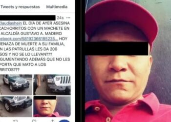 Por TORTURAR y MATAR a cachorritos con un HACHA, ¡lo refunden 4 años en “el tambo”!