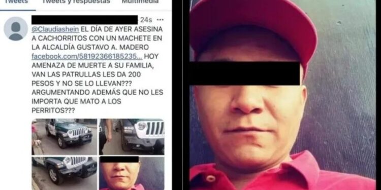 Por TORTURAR y MATAR a cachorritos con un HACHA, ¡lo refunden 4 años en “el tambo”!