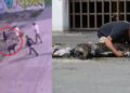 Video. ‘ZEUS’: el perrito valiente que MURIÓ defendiendo a su humano de asaltantes