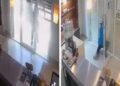 Video. ¡Empleada del año!, joven deja encerrado a ladrón y llama a la policía