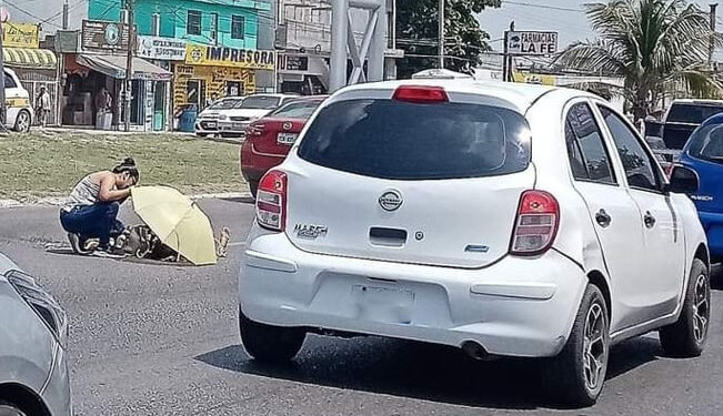 Abuelita queda GRAVE tras ser ATROPELLADA en avenida de Tampico
