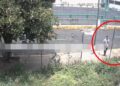 ‘Tiran’ CUERPECITO de BEBÉ golpeado; estaba dentro de una caja entre matorrales