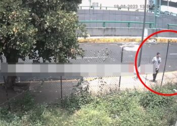 ‘Tiran’ CUERPECITO de BEBÉ golpeado; estaba dentro de una caja entre matorrales