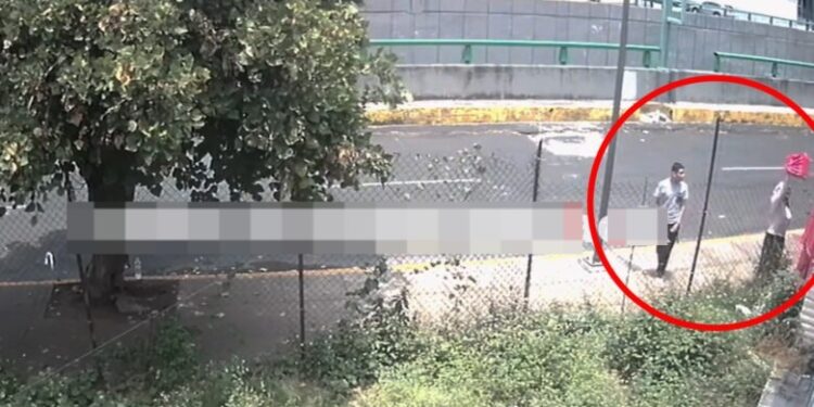 ‘Tiran’ CUERPECITO de BEBÉ golpeado; estaba dentro de una caja entre matorrales
